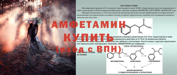 метадон Алексин