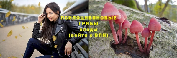 каннабис Абаза