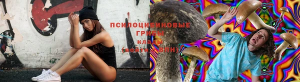 apvp Абинск