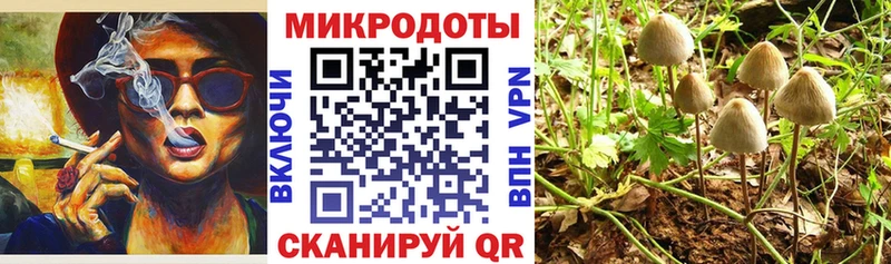 Галлюциногенные грибы мицелий  Полевской 