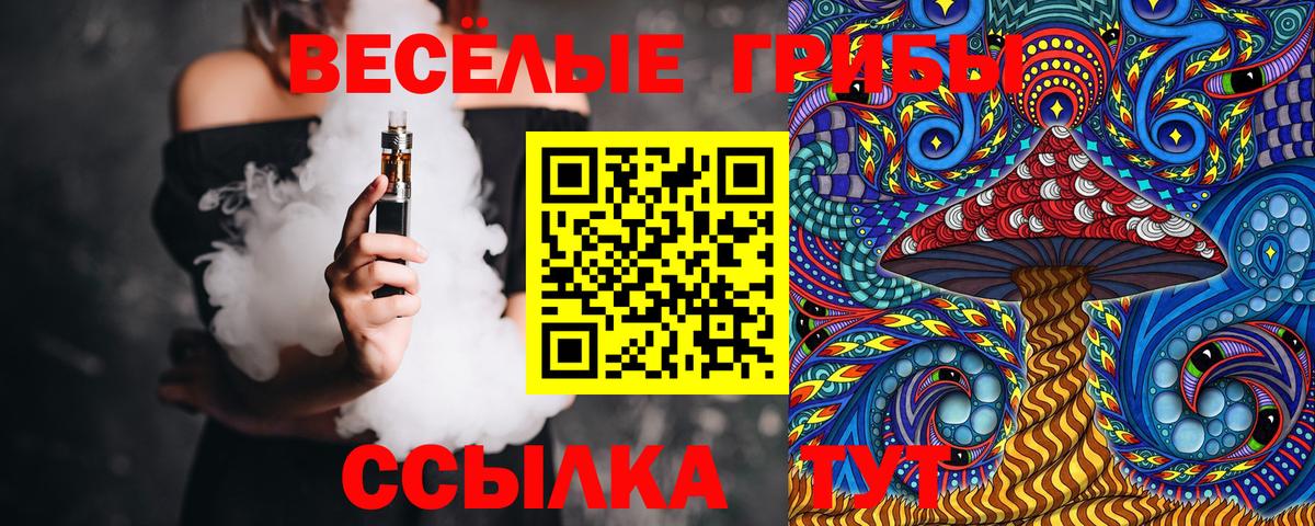 Полевской  Псилоцибиновые грибы GOLDEN TEACHER  Вход с VPN 